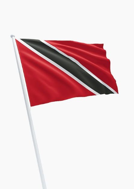 Vlag Trinidad en Tobago - 30x45cm Spun-Poly